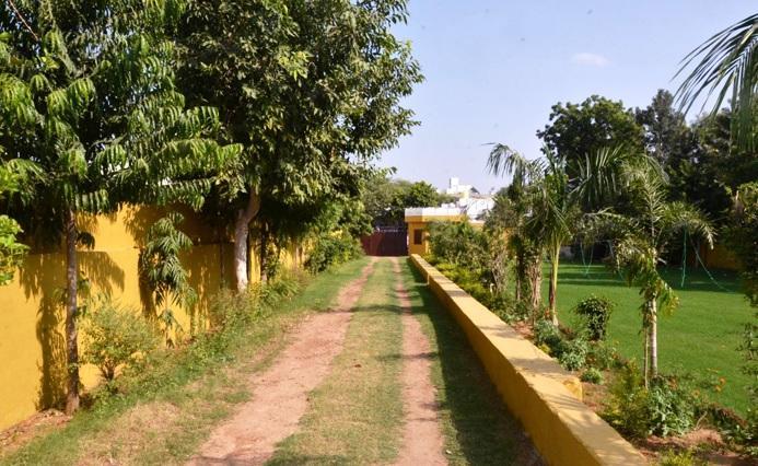 Hotel Tiger Regency Resort Sawai Madhopur Esterno foto